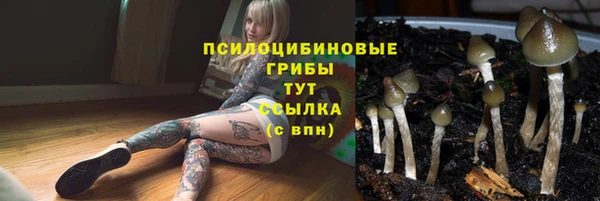 наркотики Дмитровск