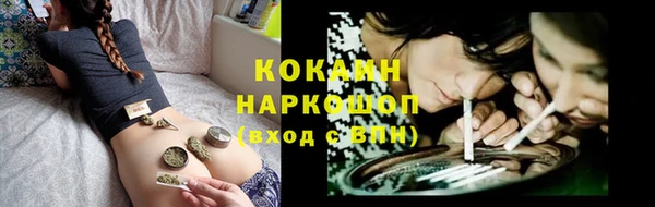 дживик Дмитров