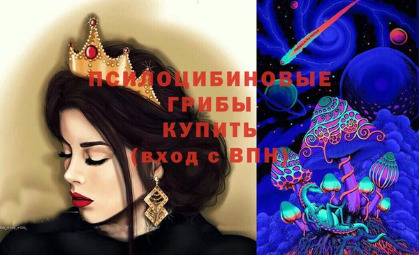 дживик Дмитров