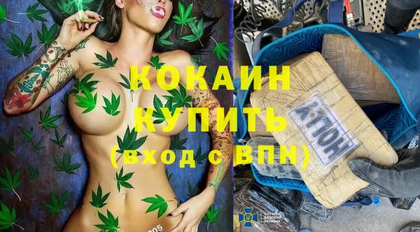 дживик Дмитров