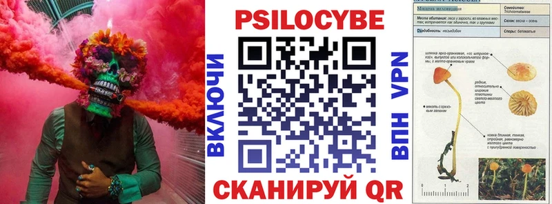 Псилоцибиновые грибы Psilocybe  Купить закладки  Куса 
